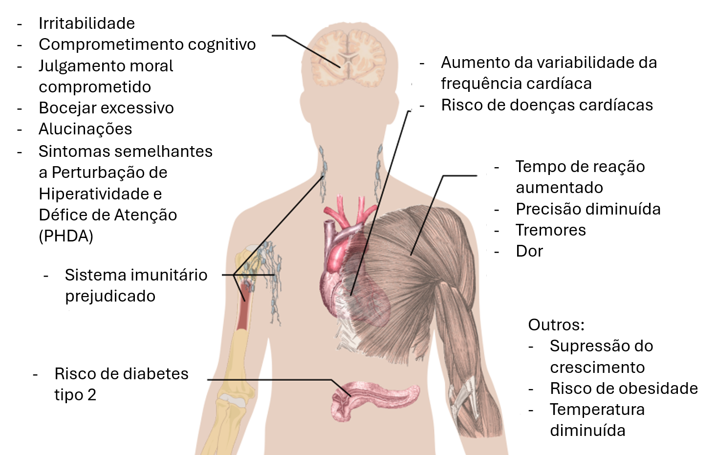 Efeitos de deprivação do sono no cérebro, coração, músculos, entre outros.