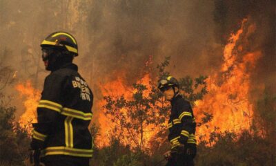 Bombeiros em Portugal atuando para apagar os incêndios florestais de setembro de 2024.