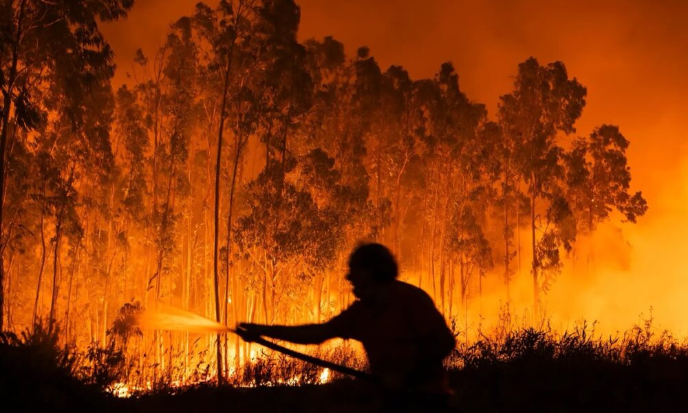 Morador tentando combater um dos focos de incêndio florestal durante a noite, em uma área densamente arborizada, envolta por chamas intensas. A silhueta da pessoa contrasta com o brilho alaranjado do fogo.