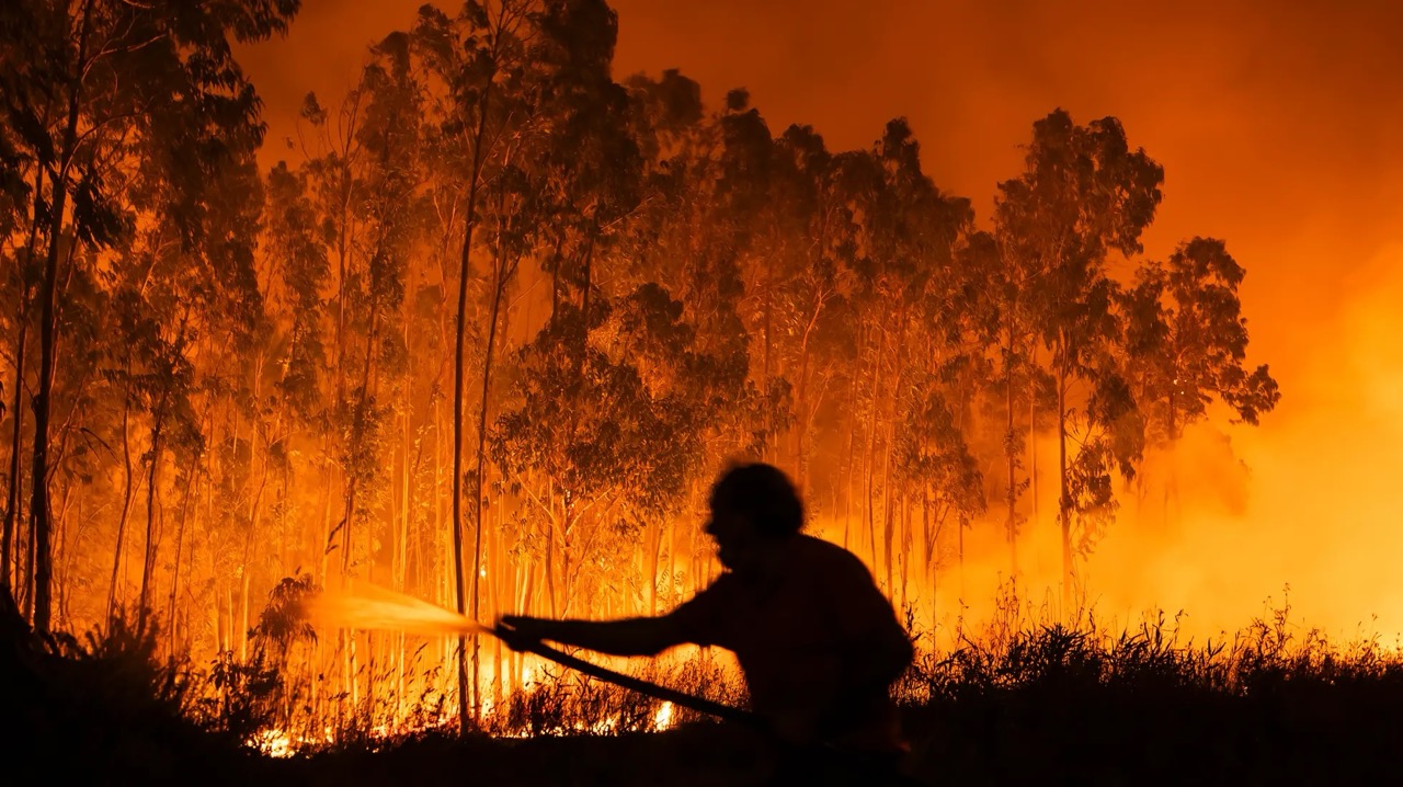 Morador tentando combater um dos focos de incêndio florestal durante a noite, em uma área densamente arborizada, envolta por chamas intensas. A silhueta da pessoa contrasta com o brilho alaranjado do fogo.